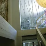 Lol Siracusa Hostel *